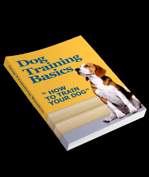 Product picture Dog Training Basics