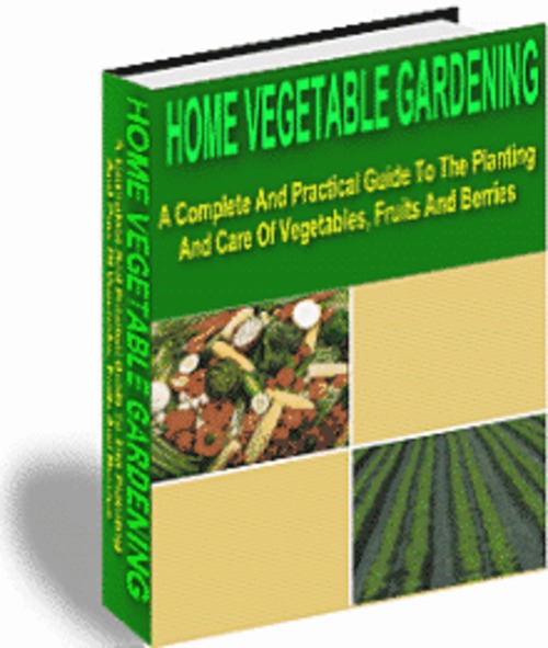 Product picture Home Vegetable Garden