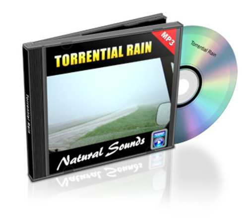 Product picture Torrential Rain
