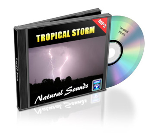 Product picture Tropical Storm