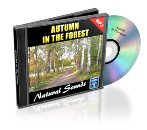 Product picture Autumn in the Forest